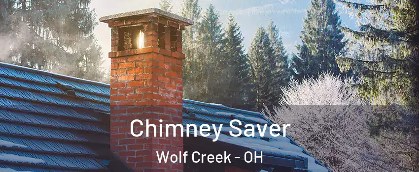 Chimney Saver Wolf Creek - OH