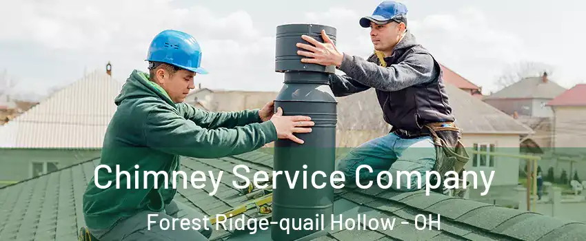 Chimney Service Company Forest Ridge-quail Hollow - OH