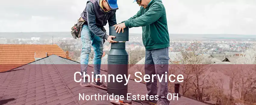 Chimney Service Northridge Estates - OH