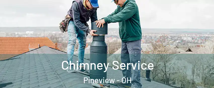Chimney Service Pineview - OH