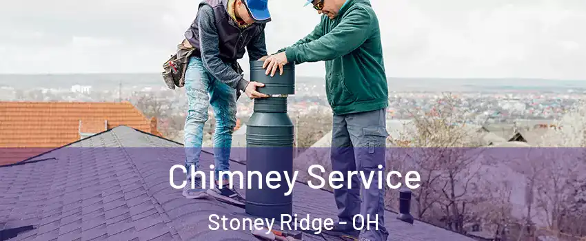 Chimney Service Stoney Ridge - OH