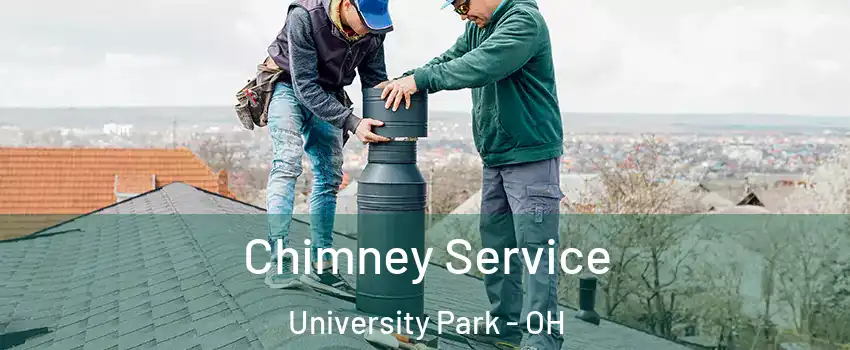 Chimney Service University Park - OH
