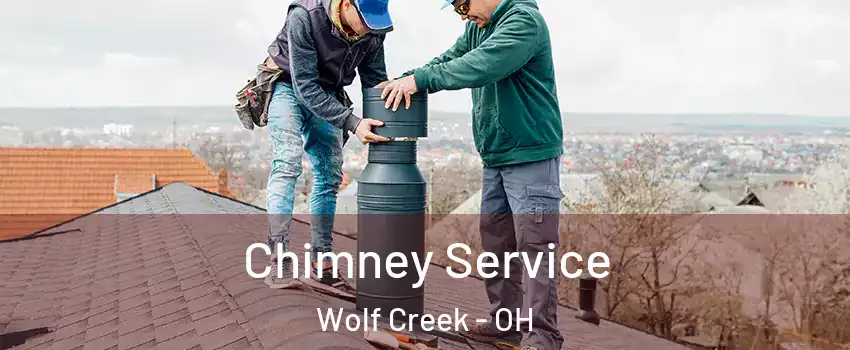 Chimney Service Wolf Creek - OH