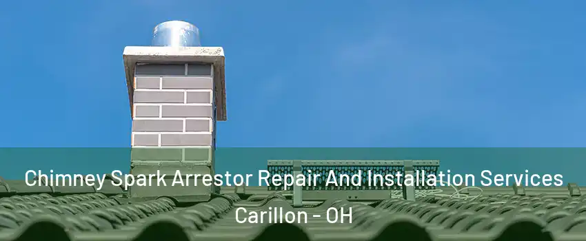 Chimney Spark Arrestor Repair And Installation Services Carillon - OH