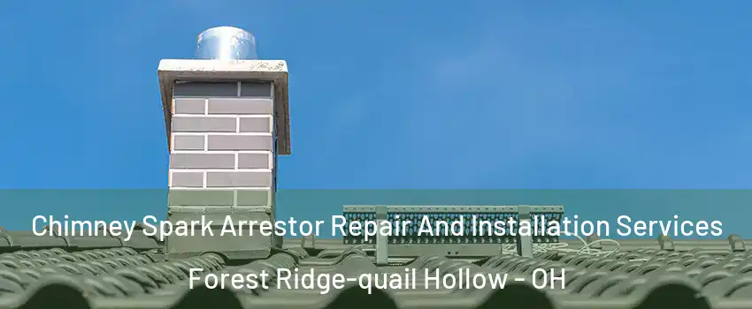 Chimney Spark Arrestor Repair And Installation Services Forest Ridge-quail Hollow - OH