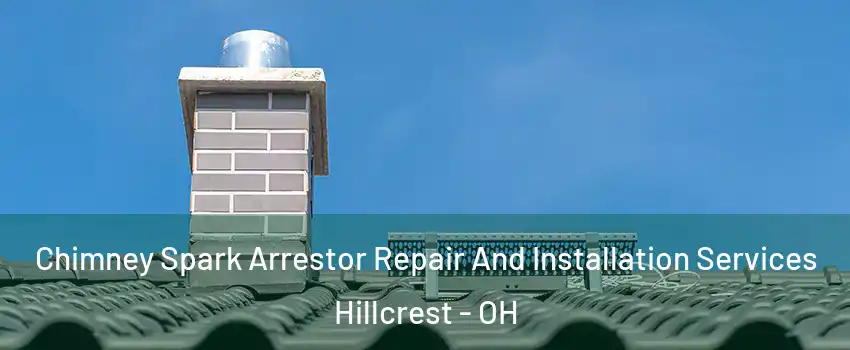 Chimney Spark Arrestor Repair And Installation Services Hillcrest - OH