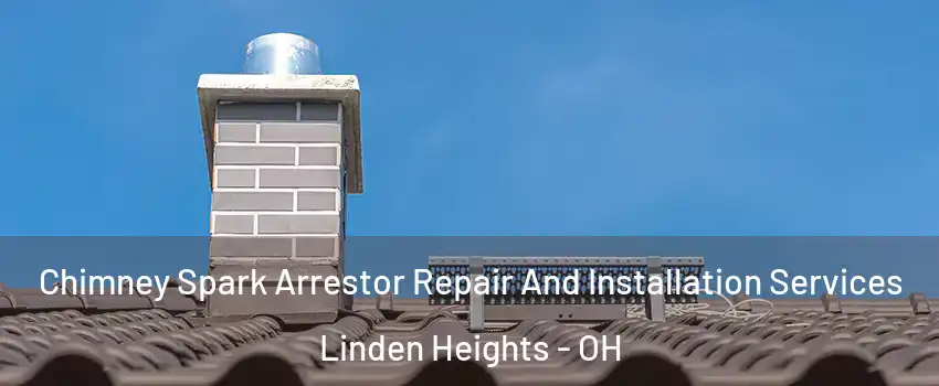 Chimney Spark Arrestor Repair And Installation Services Linden Heights - OH
