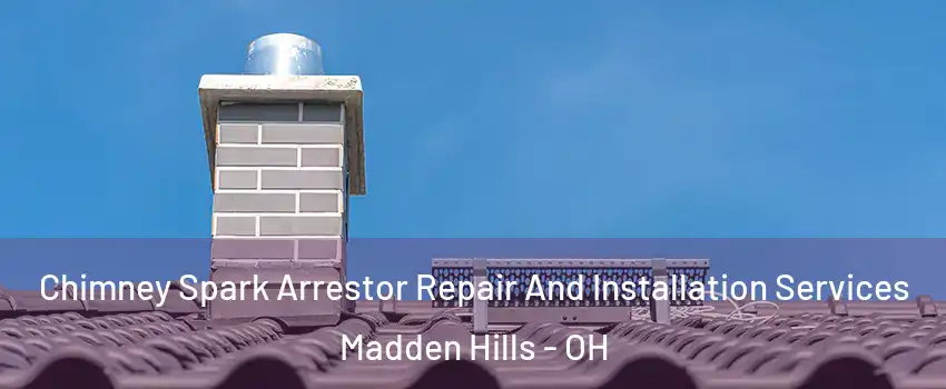 Chimney Spark Arrestor Repair And Installation Services Madden Hills - OH