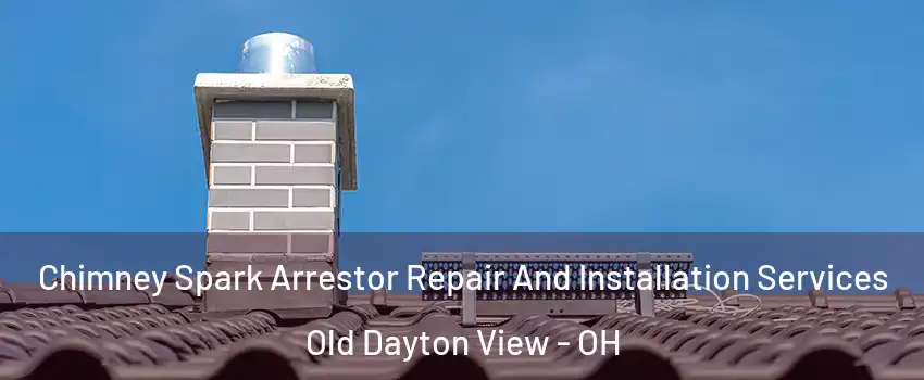 Chimney Spark Arrestor Repair And Installation Services Old Dayton View - OH