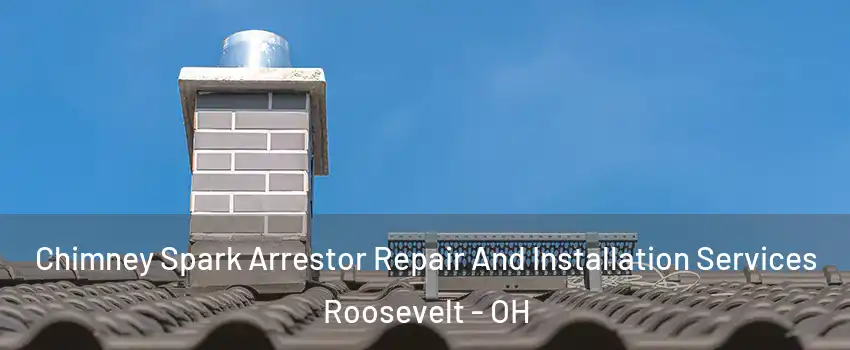 Chimney Spark Arrestor Repair And Installation Services Roosevelt - OH
