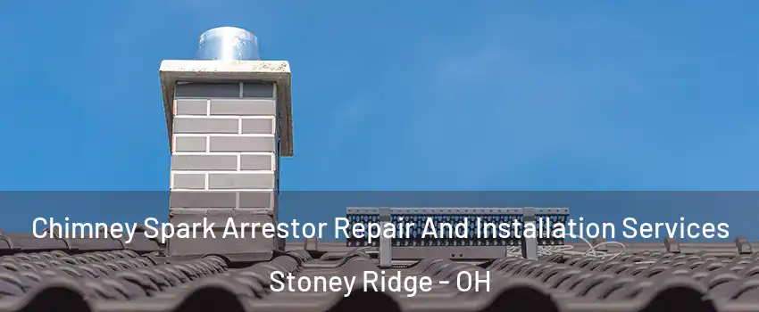 Chimney Spark Arrestor Repair And Installation Services Stoney Ridge - OH