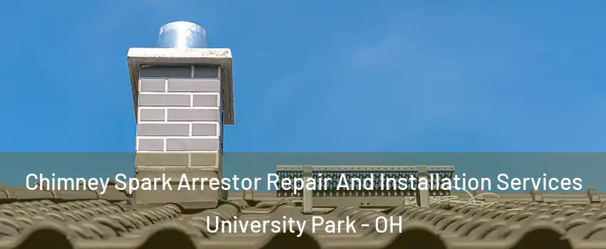 Chimney Spark Arrestor Repair And Installation Services University Park - OH