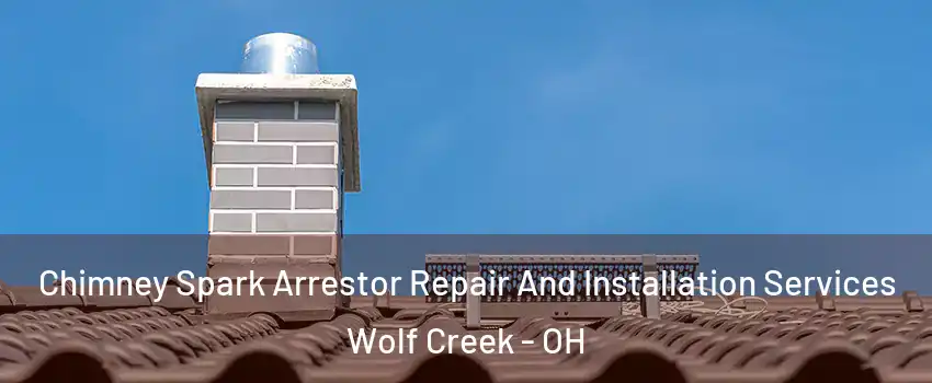 Chimney Spark Arrestor Repair And Installation Services Wolf Creek - OH