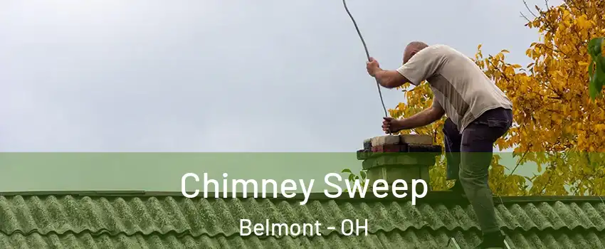 Chimney Sweep Belmont - OH