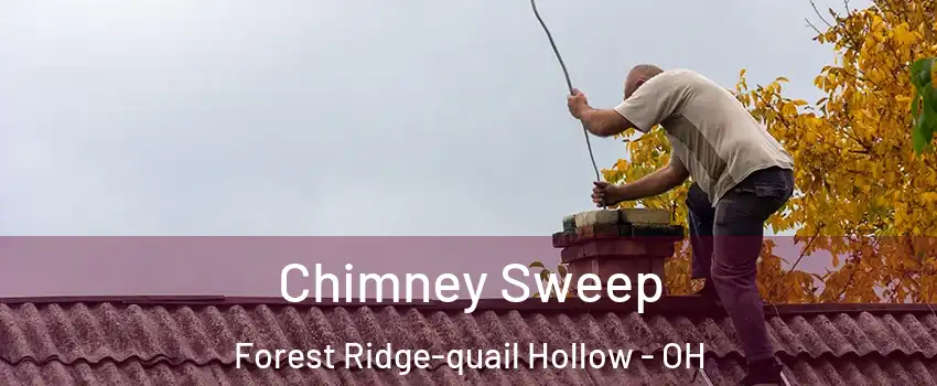 Chimney Sweep Forest Ridge-quail Hollow - OH