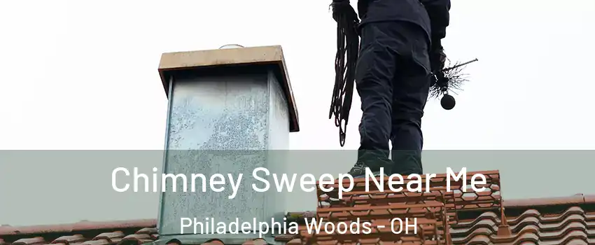 Chimney Sweep Near Me Philadelphia Woods - OH