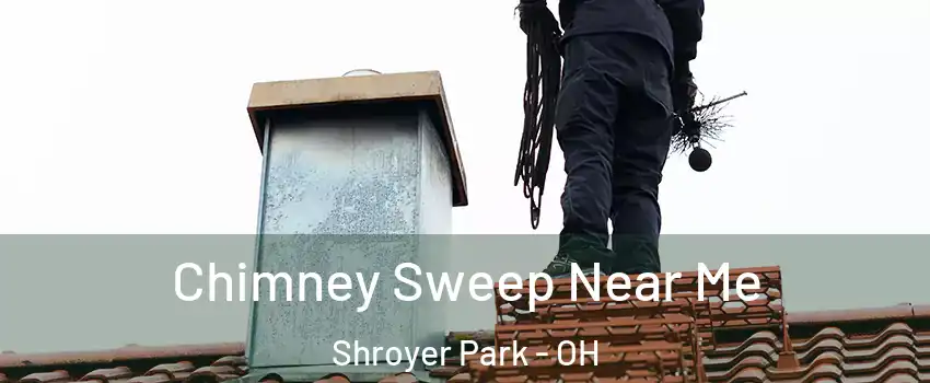 Chimney Sweep Near Me Shroyer Park - OH