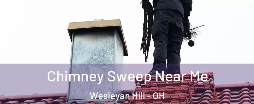 Chimney Sweep Near Me Wesleyan Hill - OH