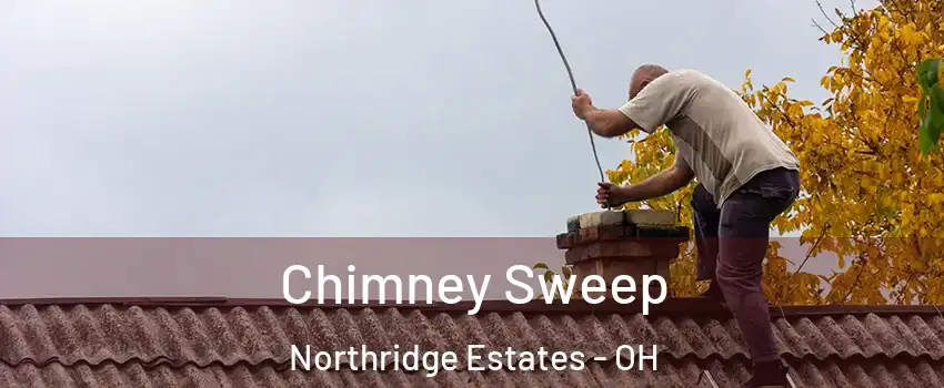 Chimney Sweep Northridge Estates - OH