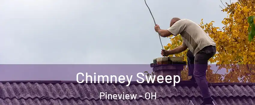 Chimney Sweep Pineview - OH