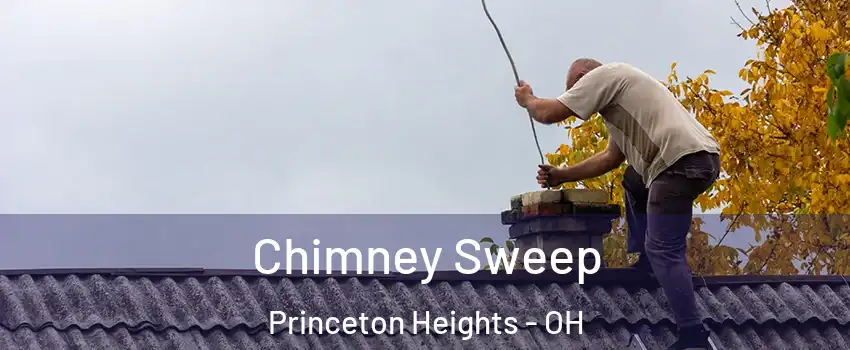 Chimney Sweep Princeton Heights - OH