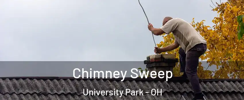 Chimney Sweep University Park - OH