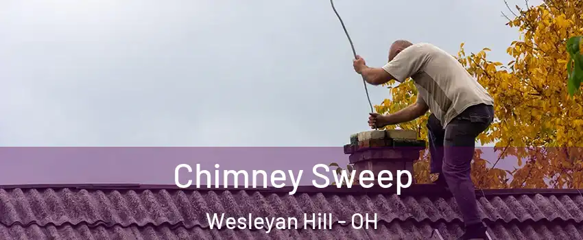 Chimney Sweep Wesleyan Hill - OH