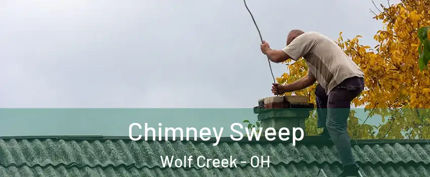 Chimney Sweep Wolf Creek - OH