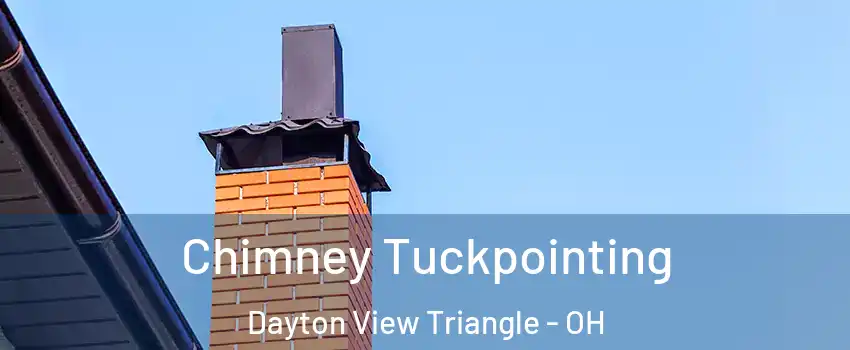 Chimney Tuckpointing Dayton View Triangle - OH