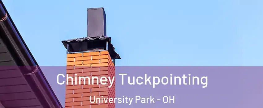 Chimney Tuckpointing University Park - OH