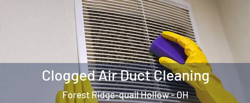Clogged Air Duct Cleaning Forest Ridge-quail Hollow - OH