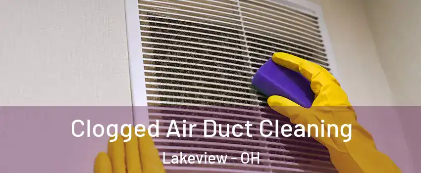 Clogged Air Duct Cleaning Lakeview - OH