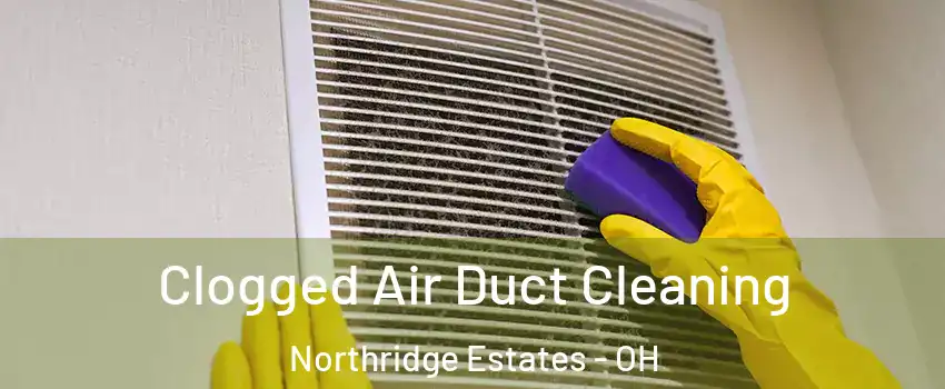 Clogged Air Duct Cleaning Northridge Estates - OH