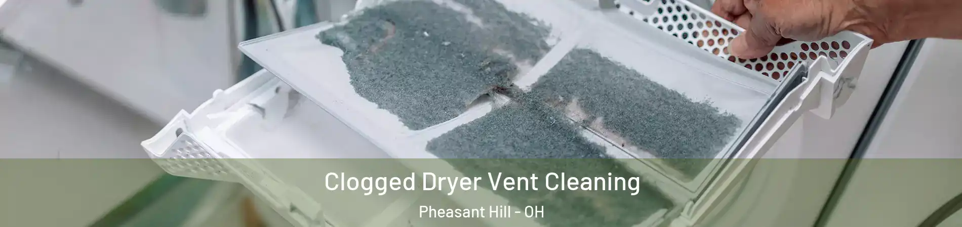 Clogged Dryer Vent Cleaning Pheasant Hill - OH