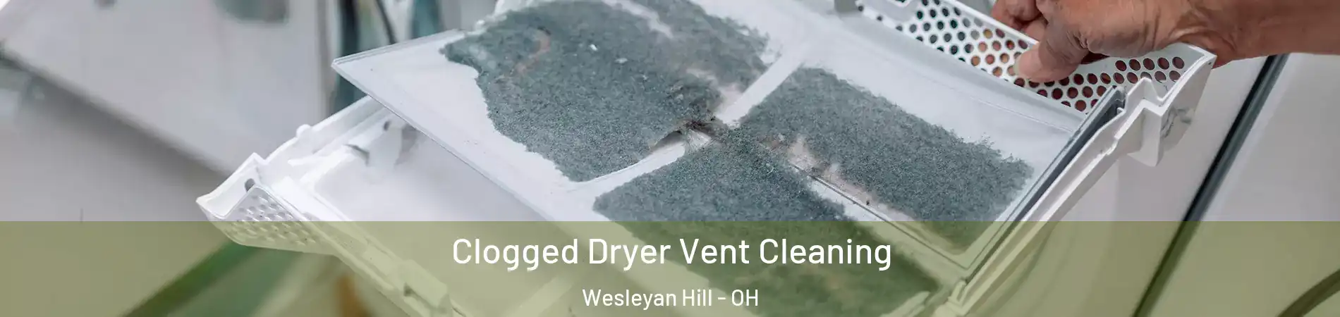 Clogged Dryer Vent Cleaning Wesleyan Hill - OH