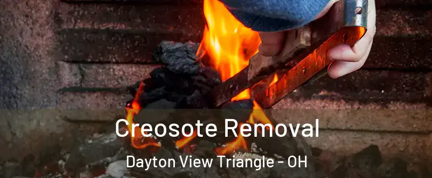 Creosote Removal Dayton View Triangle - OH