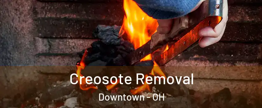 Creosote Removal Downtown - OH