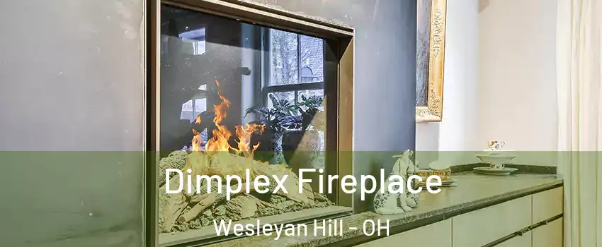 Dimplex Fireplace Wesleyan Hill - OH