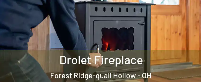 Drolet Fireplace Forest Ridge-quail Hollow - OH