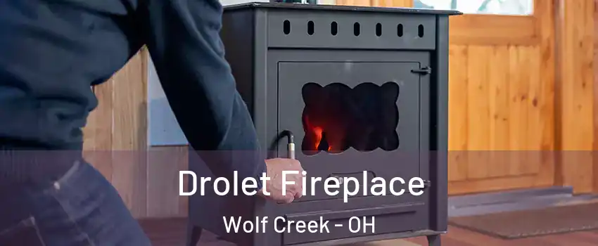 Drolet Fireplace Wolf Creek - OH
