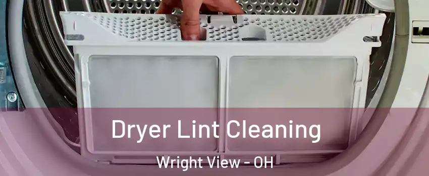 Dryer Lint Cleaning Wright View - OH
