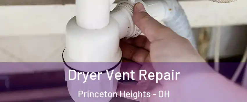 Dryer Vent Repair Princeton Heights - OH