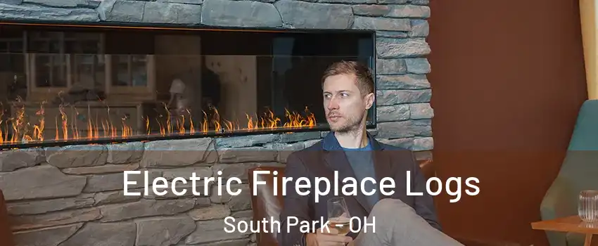 Electric Fireplace Logs South Park - OH