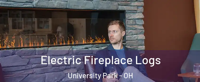 Electric Fireplace Logs University Park - OH
