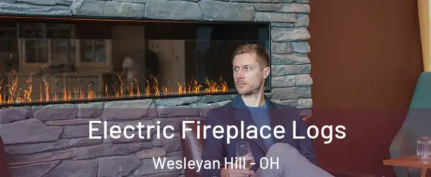 Electric Fireplace Logs Wesleyan Hill - OH