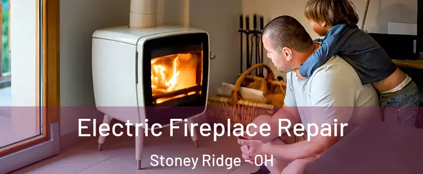 Electric Fireplace Repair Stoney Ridge - OH