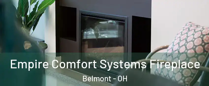 Empire Comfort Systems Fireplace Belmont - OH
