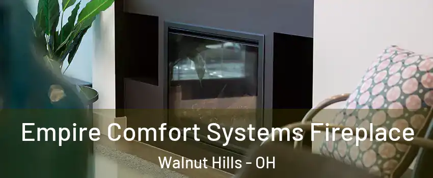 Empire Comfort Systems Fireplace Walnut Hills - OH