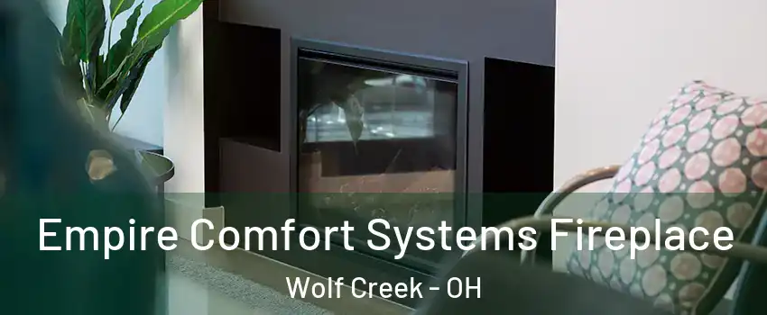 Empire Comfort Systems Fireplace Wolf Creek - OH