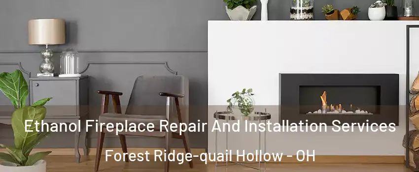 Ethanol Fireplace Repair And Installation Services Forest Ridge-quail Hollow - OH